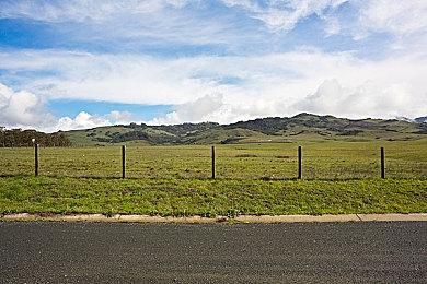 NEOWIZ独立游戏《小骨：英雄杀手》销量突破100万